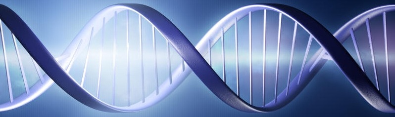 DNA strand